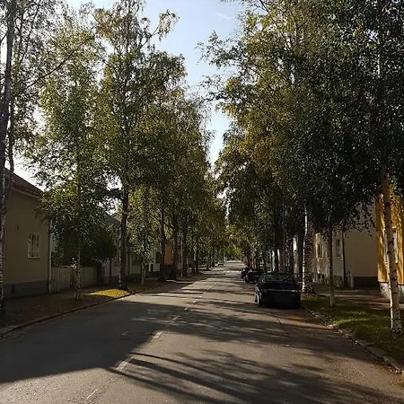 Lintu